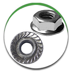 Serrated Flange Nut