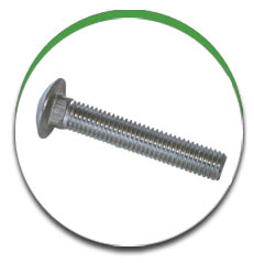 Carriage Bolt