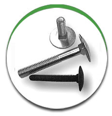 Step Bolt